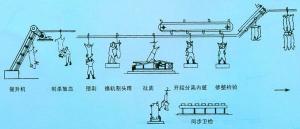 羊的屠宰工藝示意圖